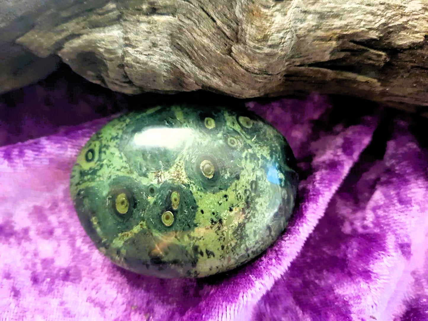 Kambaba Jasper Palmstone