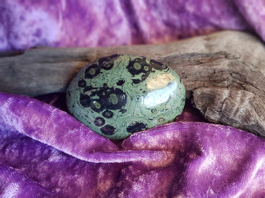 Kambaba Jasper Palmstone