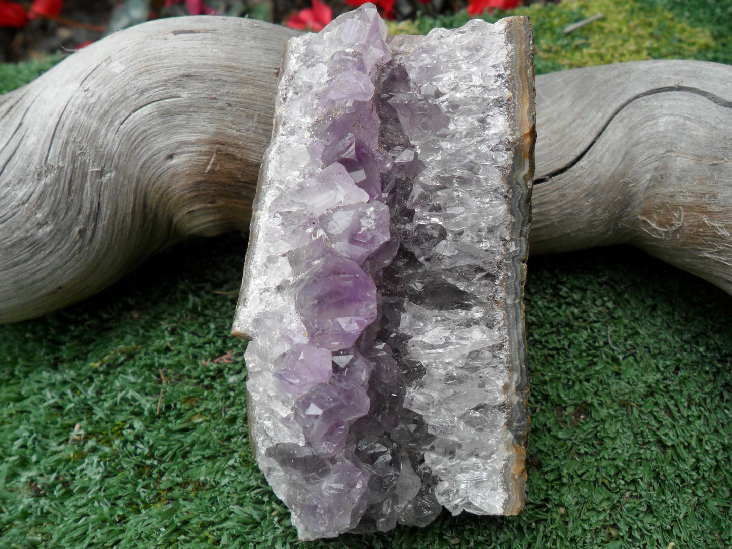 Amethyst Cluster