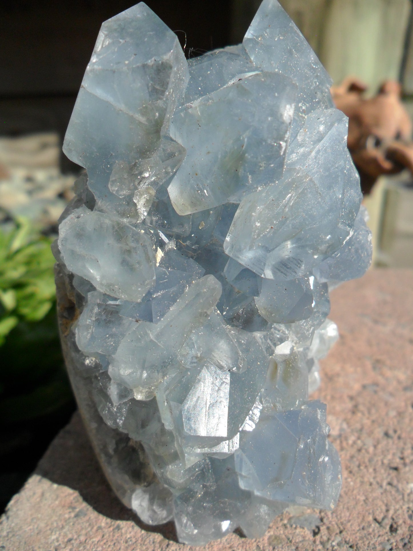 Celestite Cluster