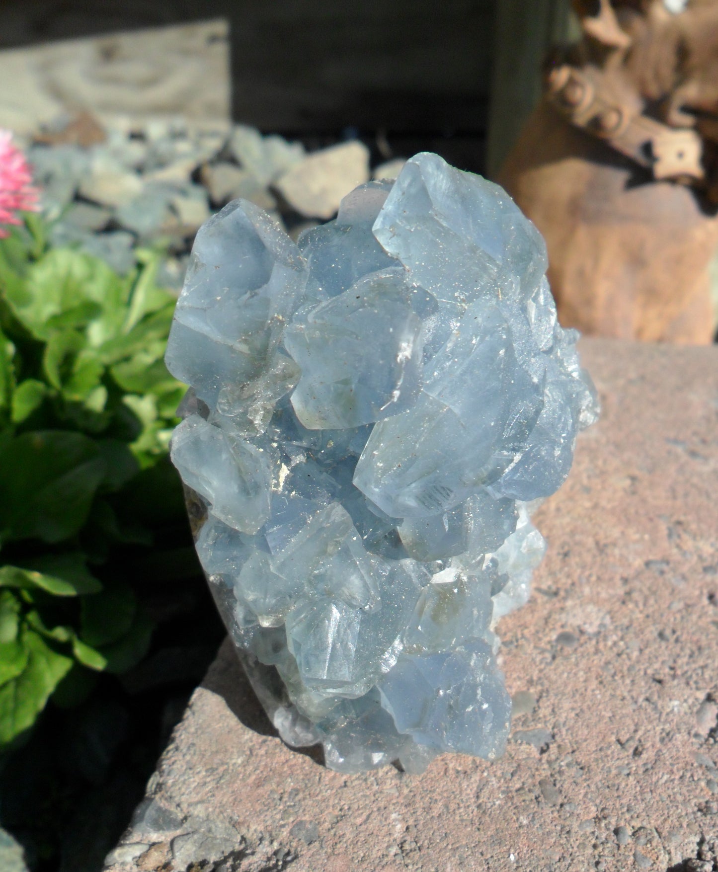 Celestite Cluster