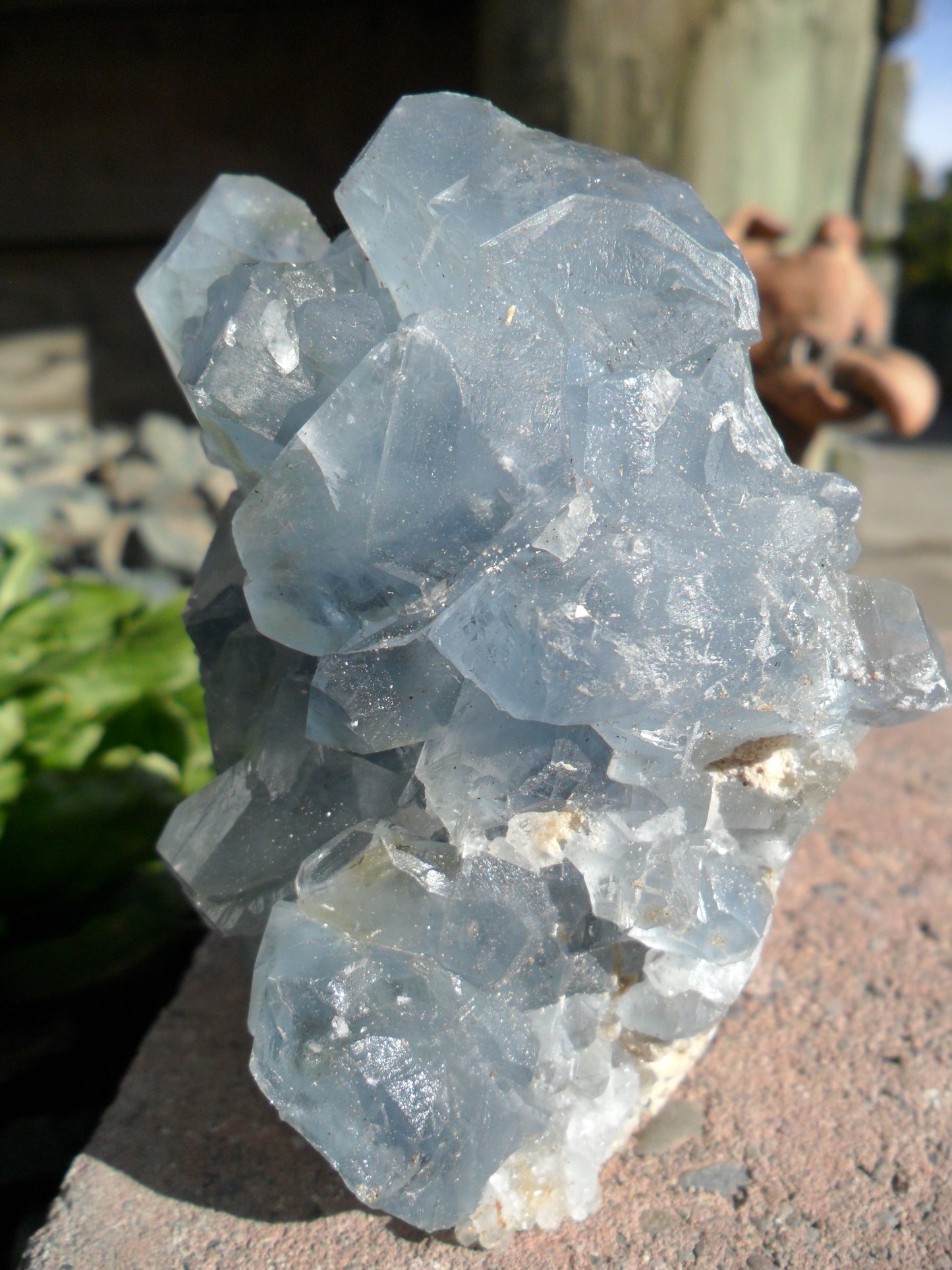 Celestite Cluster