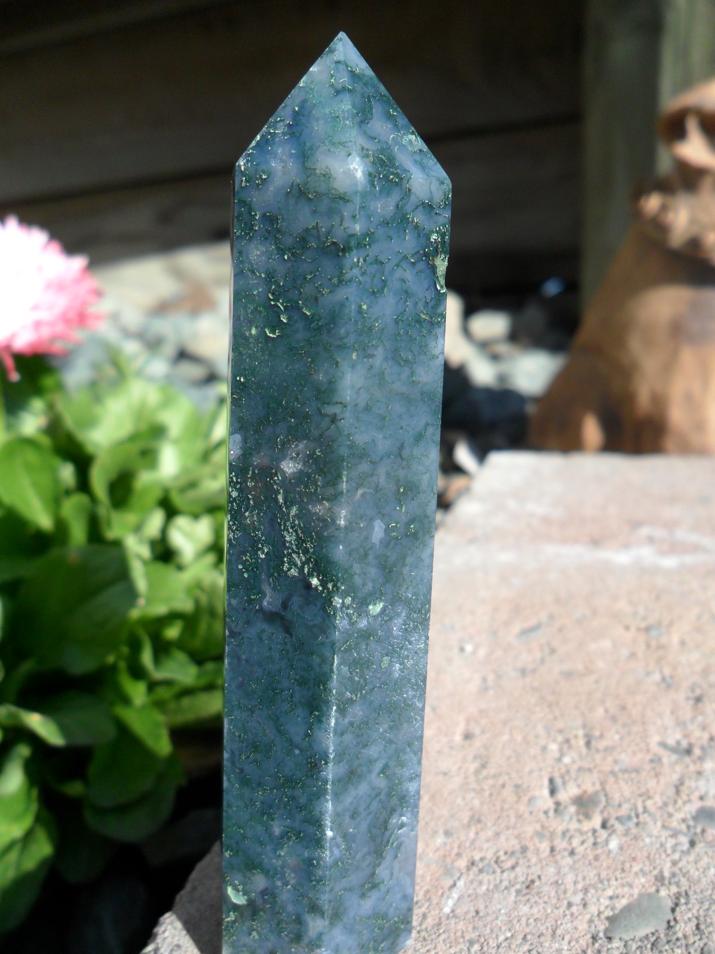 Moss Agate Point