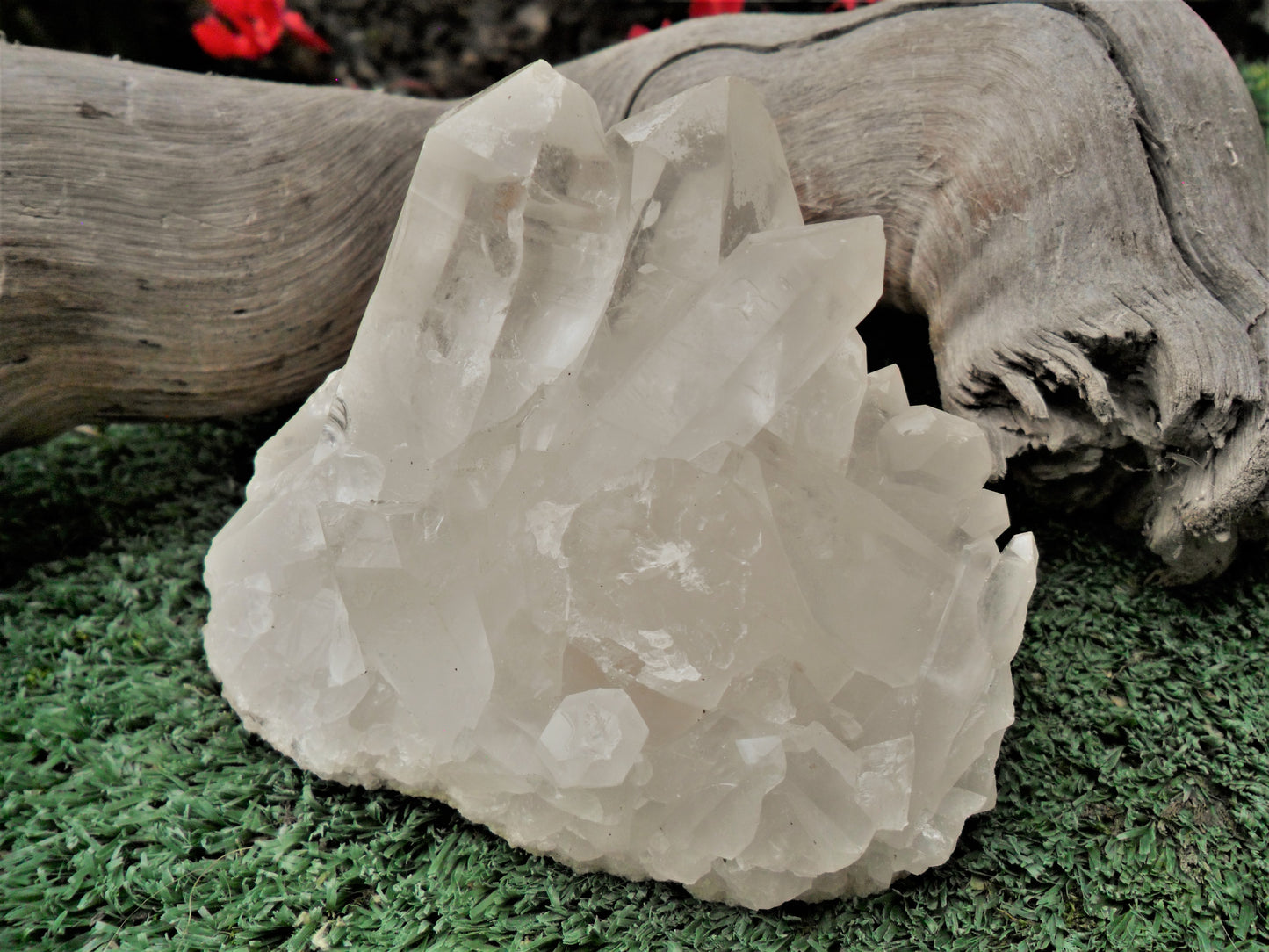 Clear Quartz Cluster