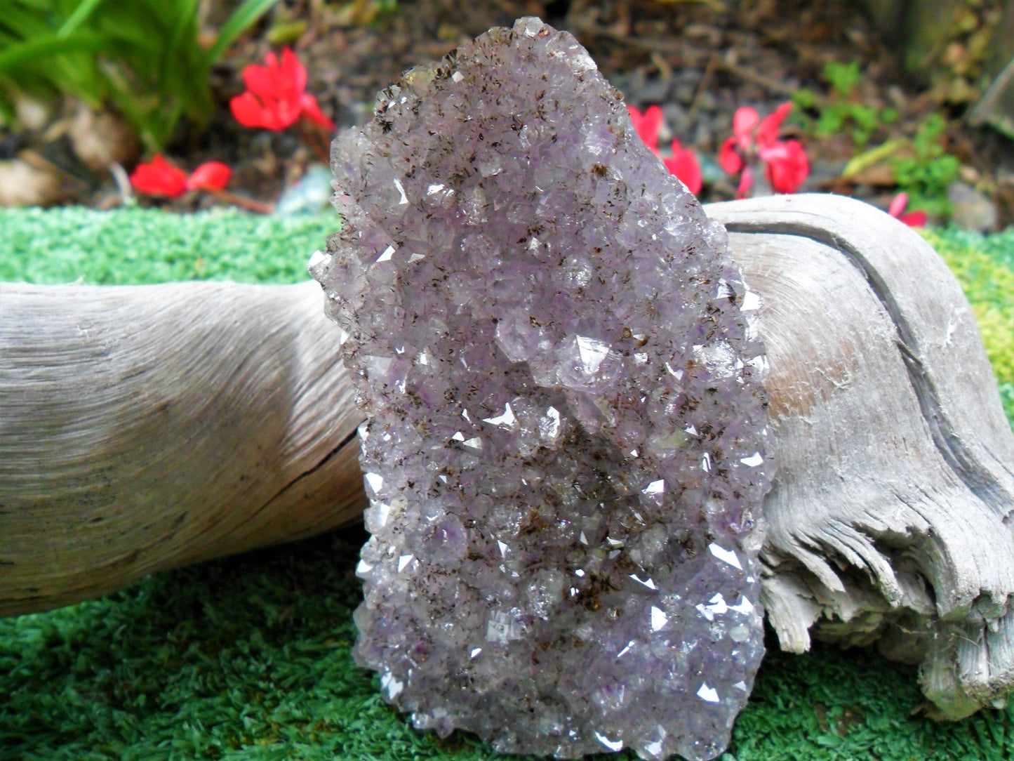 Amethyst Cluster