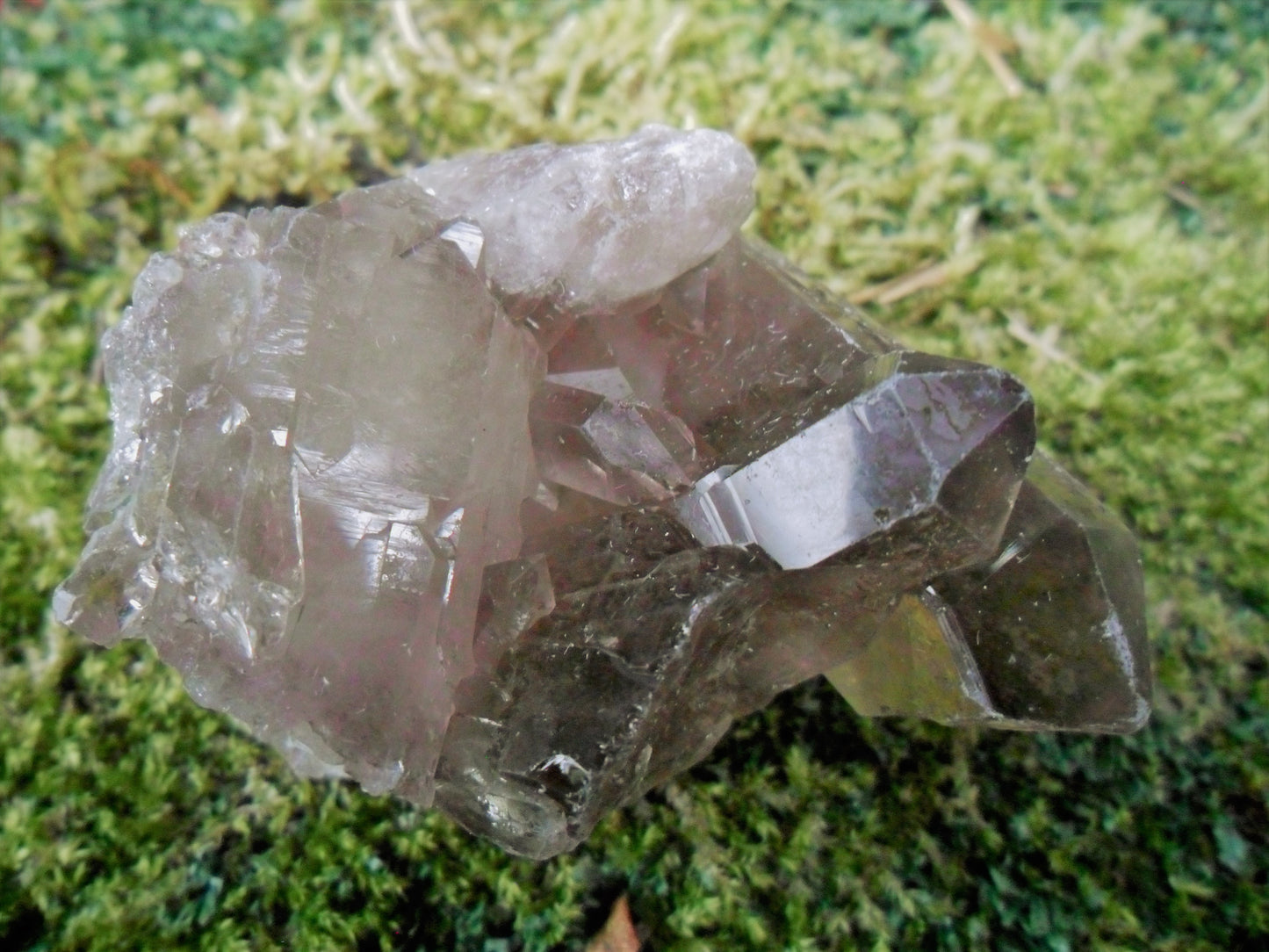 Smokey Quartz Cluster