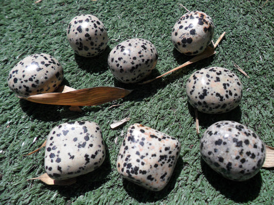 Dalmation stone