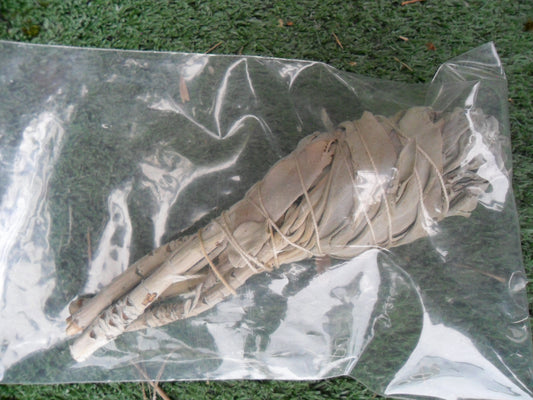 White Sage Smudge Stick 4 inch